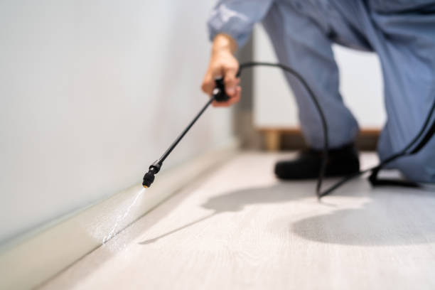 Rodent Entry Point Assessment in Richland Hills