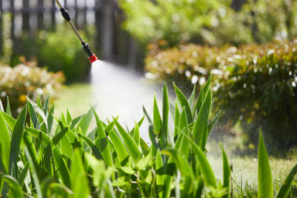 Tamper-Resistant Bait Stations for Rodents in Richland Hills