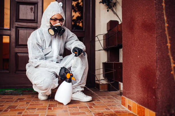 Attic and Crawl Space Rodent Treatment in Richland Hills