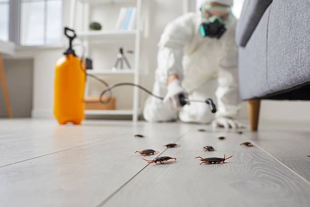 Commercial Rodent Management in Richland Hills